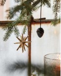 Weihnachtschmuk Spike
