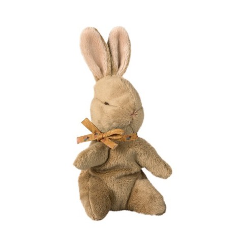 Baby Hase mit Halsband