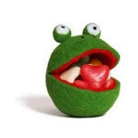 Filz Frosch zum Befüllen