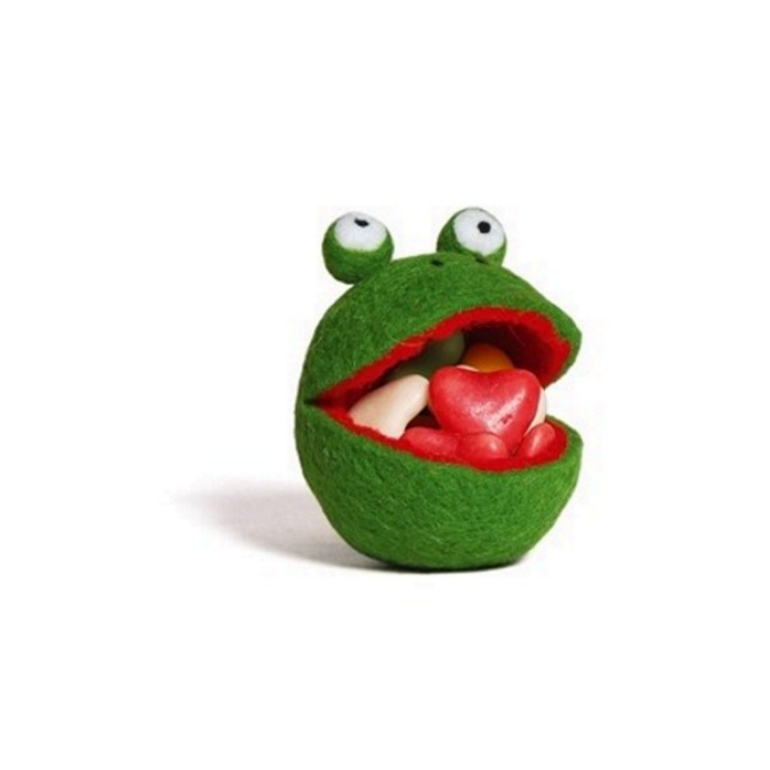 Filz Frosch zum Befüllen