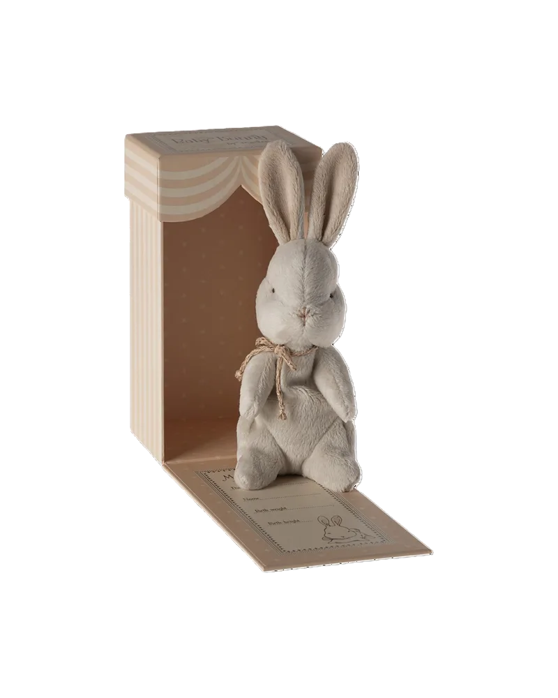 Mein erster Hase, Ansicht 3