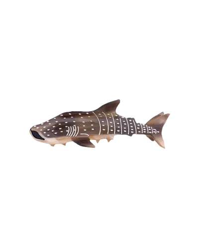 Haarklammer Haifisch von By Stær