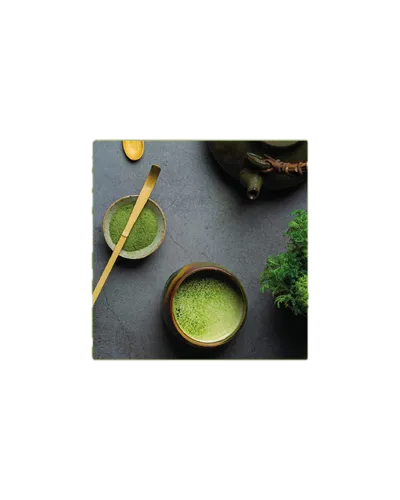 Buch MATCHA von New Mags