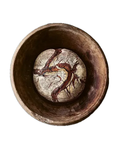 Sauerteig für alle von Die Gestalten