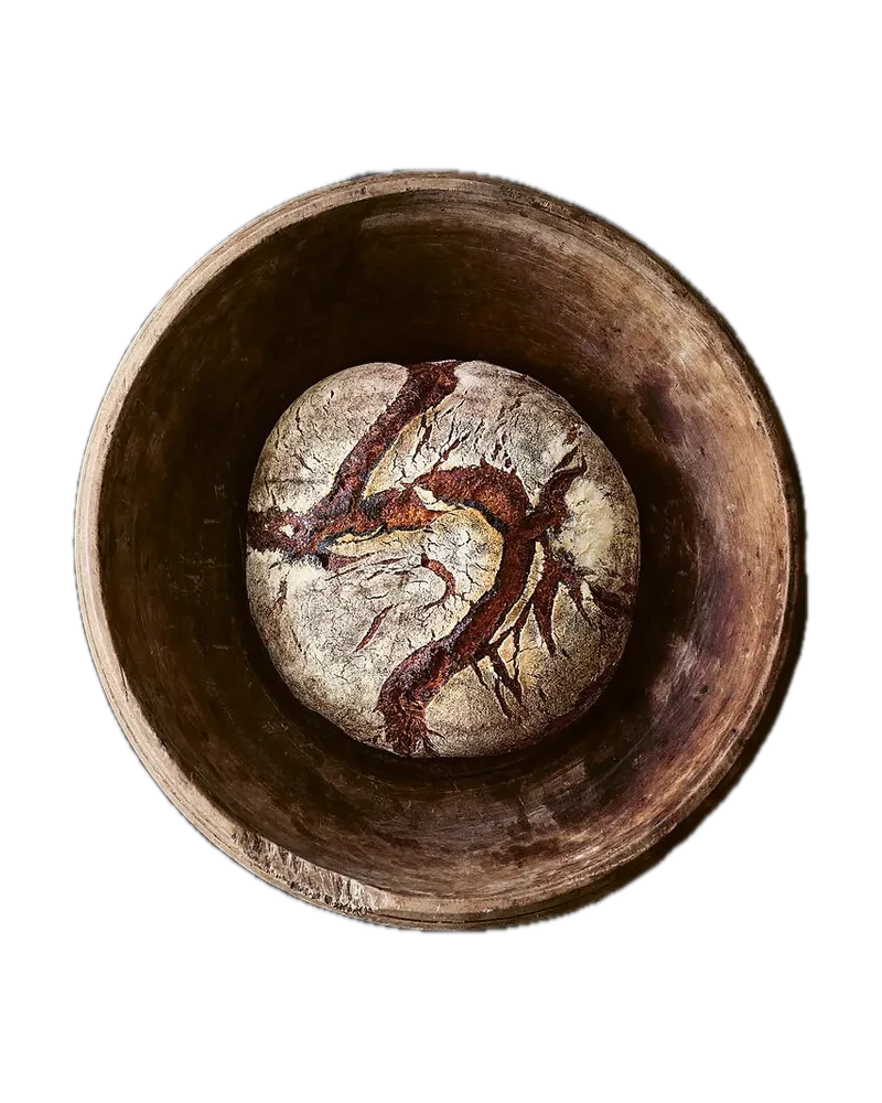 Sauerteig für alle von Die Gestalten