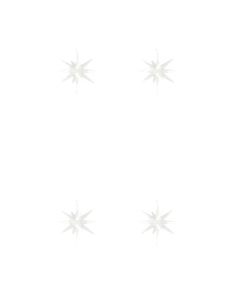 Weihnachtsschmuck Spike, Ansicht 3