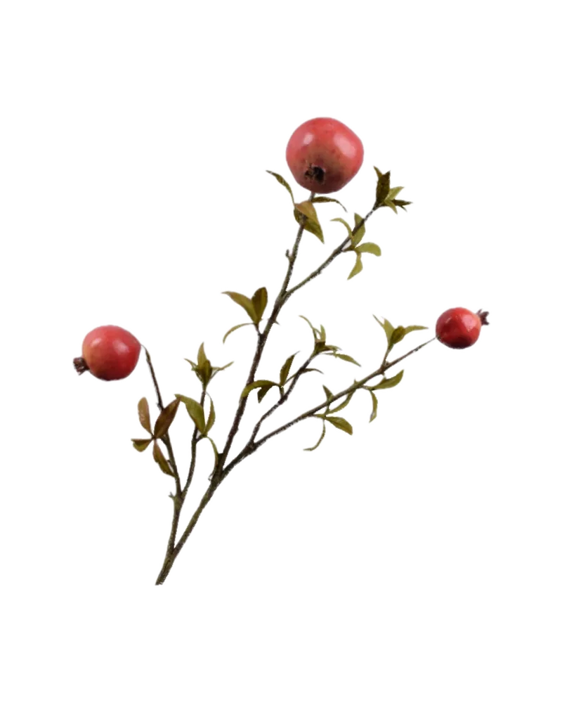 Granatapfel Zweig von Silk-ka