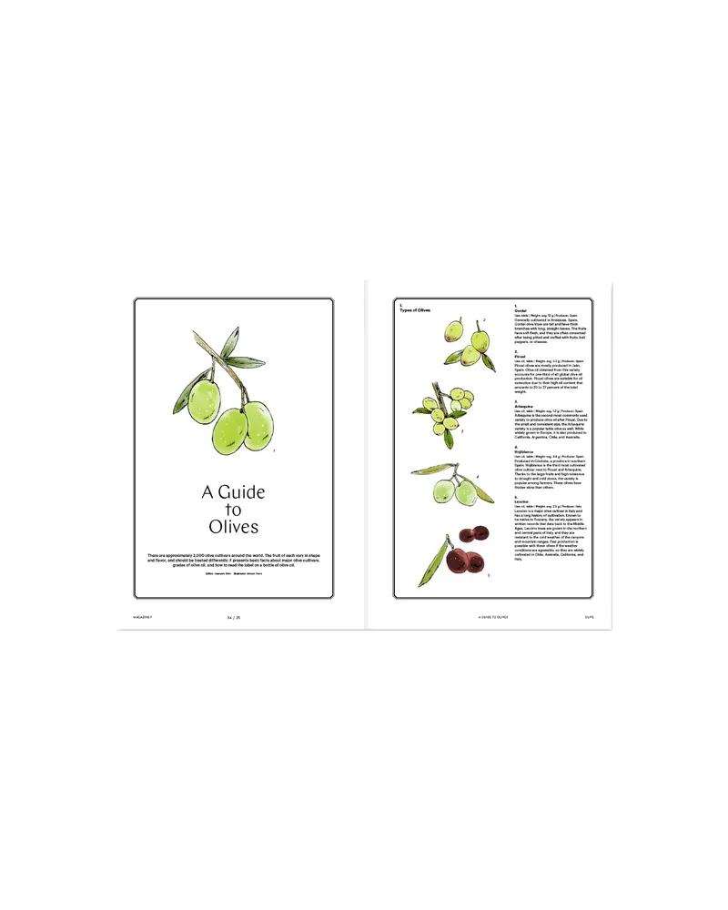 Magazin OLIVE, Ansicht 2