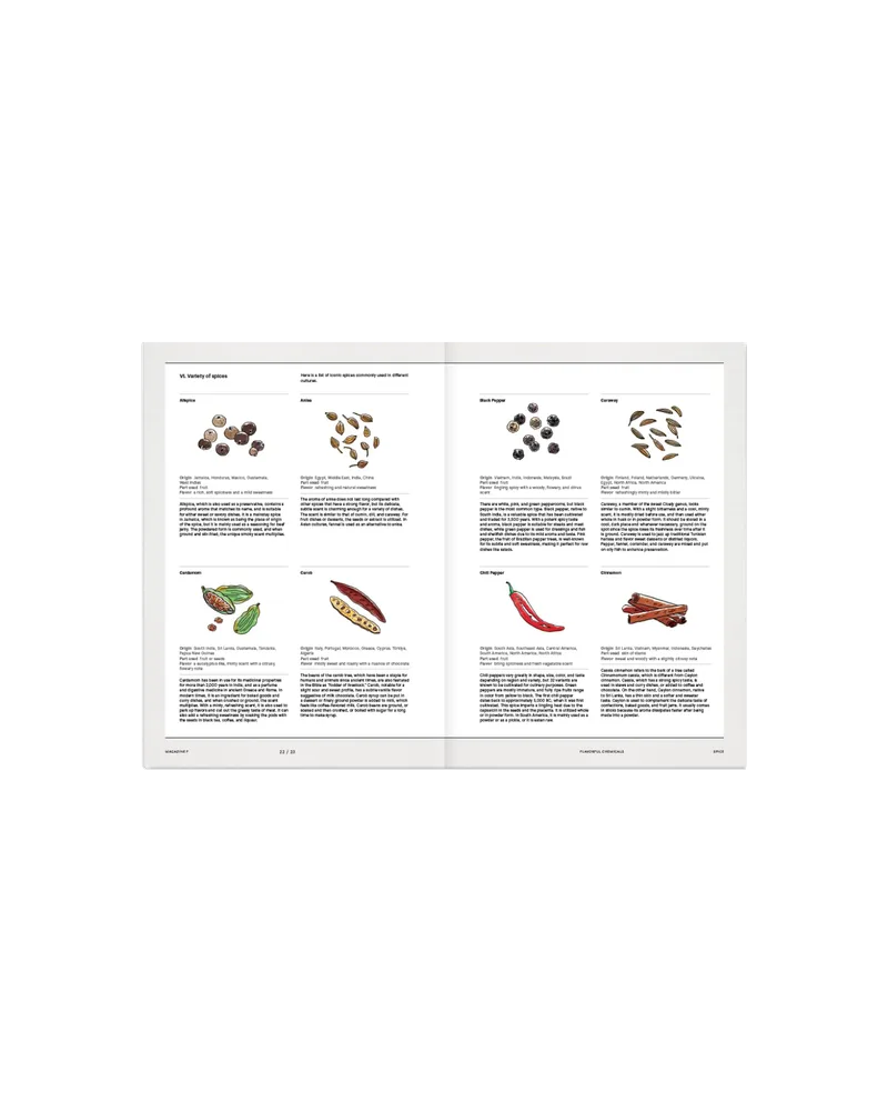 Magazin SPICE, Ansicht 2